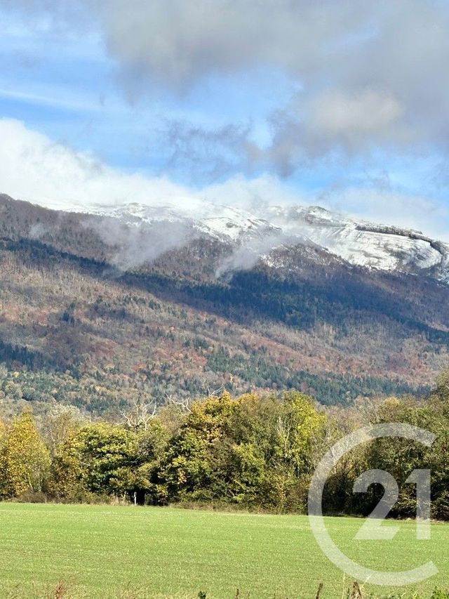 Appartement F3 bis à louer - 5 pièces - 148.04 m2 - PERON - 01 - RHONE-ALPES - Century 21 Adl Genevois